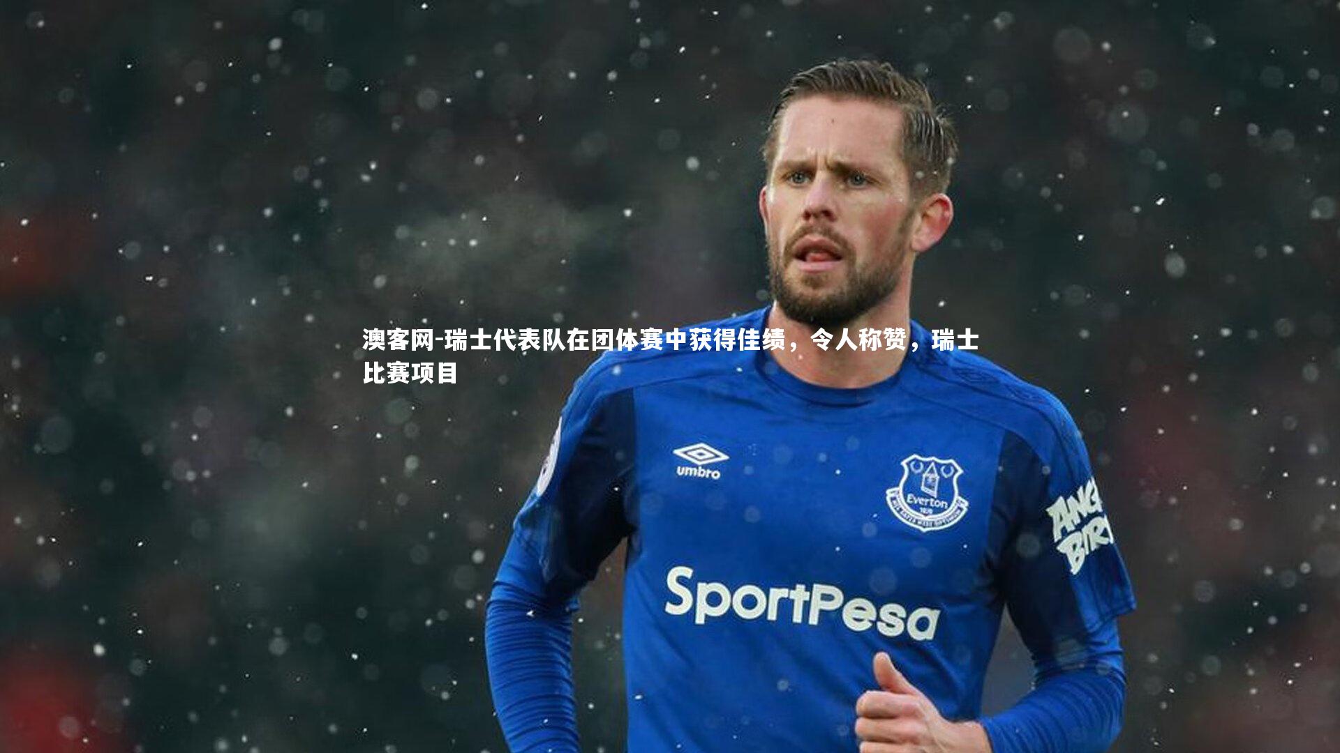 瑞士代表队在团体赛中获得佳绩，令人称赞，瑞士比赛项目